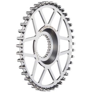 CDX Pinion 39T Sprocket SS