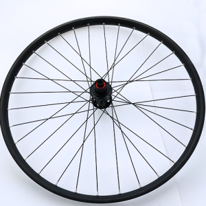 RW 29" i30 HGM BST S+ 6B BLK