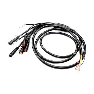 MY25 Blade Mini Main Cable (App)