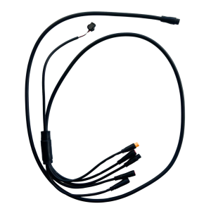 Dual Motor Wiring Harness