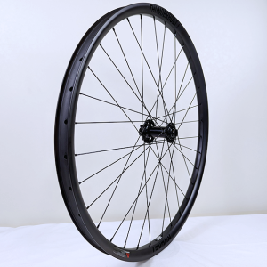 FW 29 Thunderbolt BST 6B