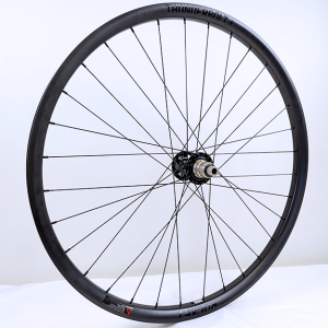 RW 29 Thunderbolt BST 6B XD