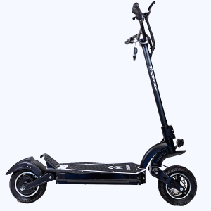 The Bear E-Scooter